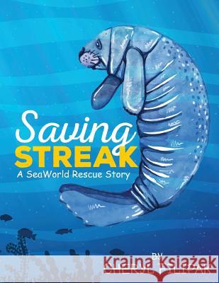 Saving Streak Cheryl Filipak 9781947825932 Yorkshire Publishing - książka