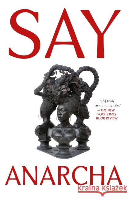 Say Anarcha: A Young Woman, a Devious Surgeon, and the Harrowing Birth of Modern Women's Health J. C. Hallman 9781250868459 Holt Paperbacks - książka