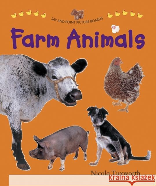 Say and Point Picture Boards: Farm Animals  9781861474766 Anness Publishing - książka