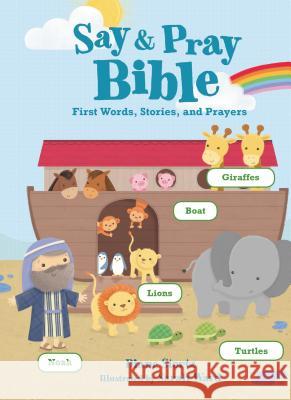 Say and Pray Bible: First Words, Stories, and Prayers Diane Stortz 9780718036577 Thomas Nelson - książka