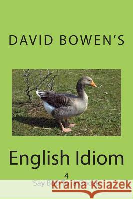 Say Boo to a Goose Hugh Beswetherick David Bowen 9781512335347 Createspace Independent Publishing Platform - książka