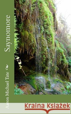 Say No More: For Me To Be Complete Tate, Aaron Michael 9781502720726 Createspace - książka