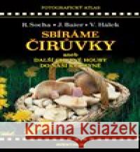 Sbíráme čirůvky a další chutné houby do naší kuchyně Radomír Socha 9788074421587 Aventinum - książka