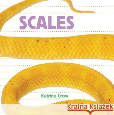 Scales Katrine Crow 9781486716623 Flowerpot Press - książka