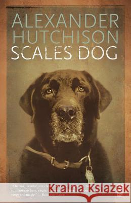 Scales Dog: New and Selected Poems Dr Alexander Hutchison 9781844715411 Salt Publishing - książka