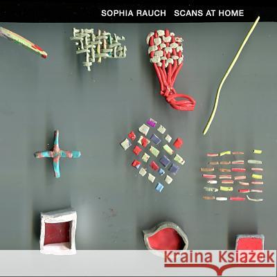 Scans at Home Sophia Rauch 9780991649334 Fltfl - książka