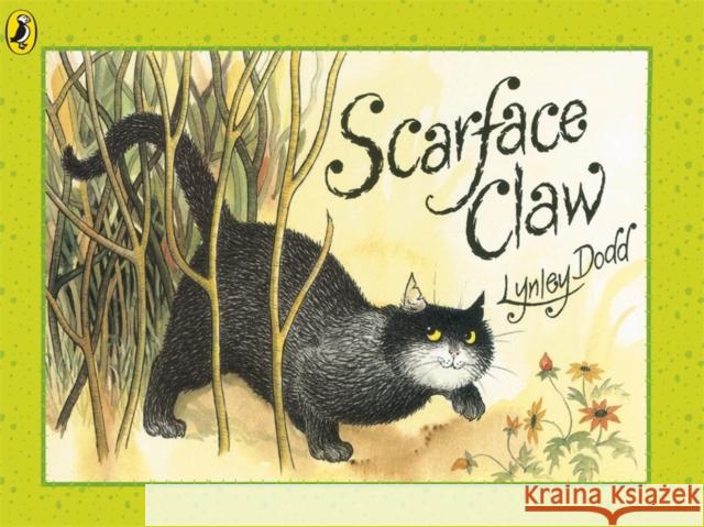 Scarface Claw Lynley Dodd 9780140568868 Penguin Random House Children's UK - książka