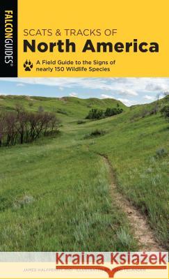 Scats and Tracks of North America: A Field Guide to the Signs of Nearly 150 Wildlife Species James Halfpenny 9781493043026 Falcon Press Publishing - książka