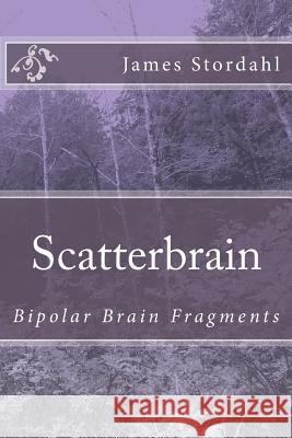 ScatterBrain: Bipolar Brain Fragments Stordahl, James W. 9781492336525 Createspace - książka