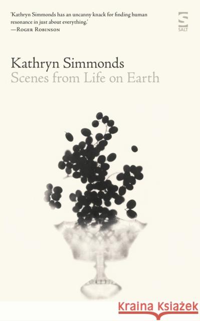 Scenes from Life on Earth Kathryn Simmonds 9781784632779 Salt Publishing - książka