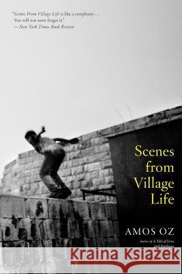 Scenes from Village Life Amos Oz Nicholas D 9780547840192 Mariner Books - książka