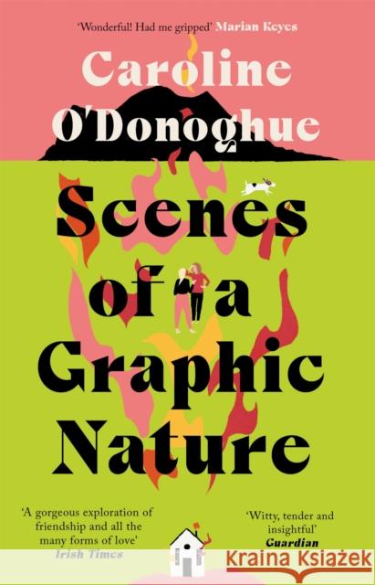 Scenes of a Graphic Nature: 'A perfect page-turner' (Dolly Alderton) from the bestselling author of The Rachel Incident Caroline O'Donoghue 9780349009971 Little, Brown Book Group - książka