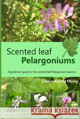 Scented leaf pelargoniums: A gardeners guide to the scented leaf pelargonium species Olney, Charis Estelle 9781973880684 Createspace Independent Publishing Platform - książka