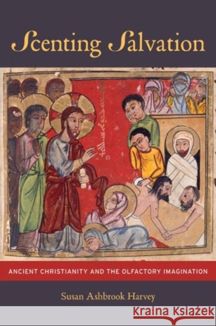 Scenting Salvation: Ancient Christianity and the Olfactory Imaginationvolume 42 Harvey, Susan Ashbrook 9780520241473  - książka