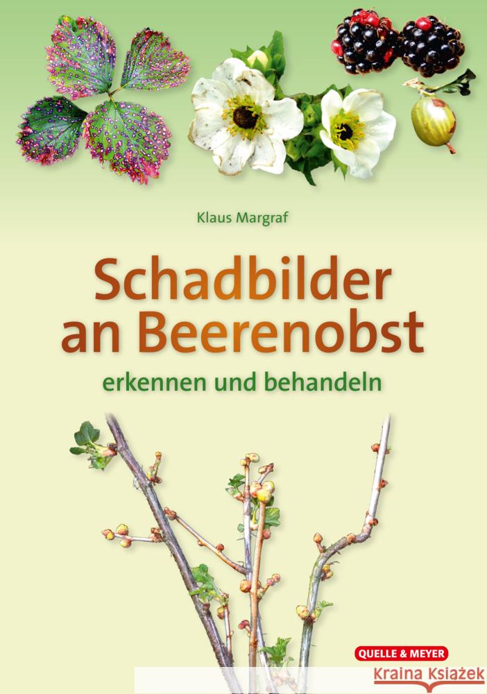 Schadbilder an Beerenobst Margraf, Klaus 9783494022666 Quelle & Meyer - książka