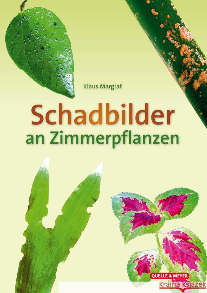 Schadbilder an Zimmerpflanzen Margraf, Klaus 9783494019796 Quelle & Meyer - książka