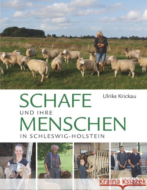 Schafe! Krickau, Ulrike 9783804215214 Boyens Buchverlag - książka