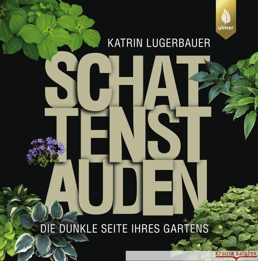 Schattenstauden Lugerbauer, Katrin 9783818614447 Verlag Eugen Ulmer - książka