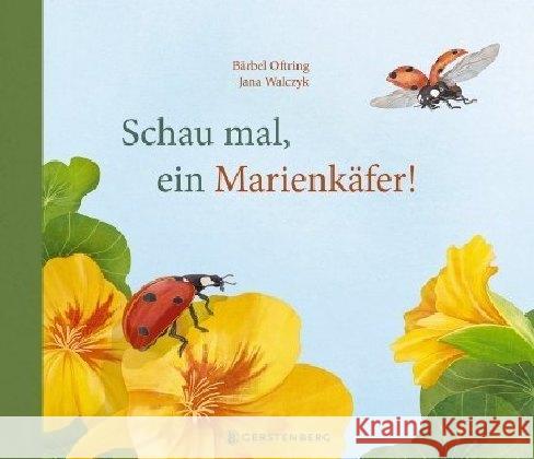 Schau mal, ein Marienkäfer! Oftring, Bärbel 9783836956598 Gerstenberg Verlag - książka