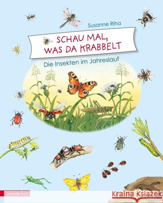 Schau mal, was da krabbelt : Die Insekten im Jahreslauf. Bilderbuch Riha, Susanne 9783219117813 Betz, Wien - książka