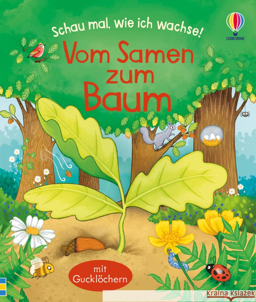 Schau mal, wie ich wachse! Vom Samen zum Baum Sims, Lesley 9781789417852 Usborne Verlag - książka