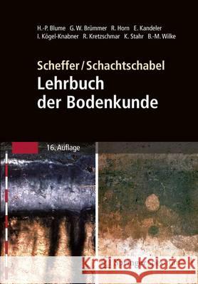 Scheffer/Schachtschabel: Lehrbuch Der Bodenkunde Blume, Hans-Peter 9783662499597 Springer Spektrum - książka