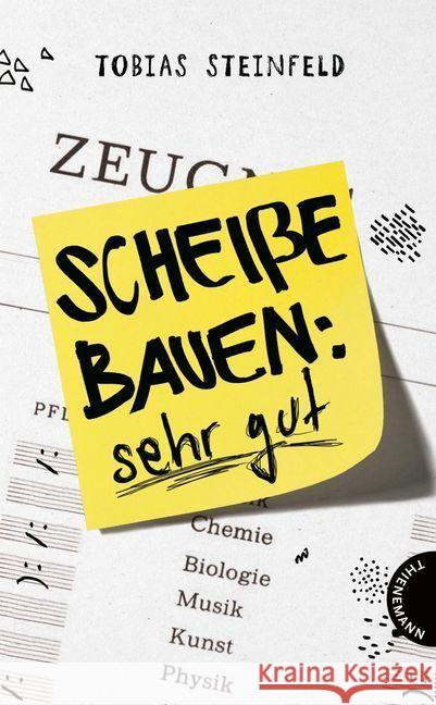 Scheiße bauen: sehr gut Steinfeld, Tobias 9783522202473 Thienemann Verlag - książka