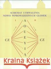 Schemat utrwalania nowo wprowadzonych głosek Antoni Balejko 5902490408470 Logopedyczne Antoni Balejko - książka