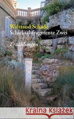 Schicksalsfragmente Zwei: Erzählungen Waltraud Schade 9783754343500 Books on Demand - książka