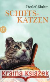 Schiffskatzen : Originalausgabe Bluhm, Detlef 9783458360117 Insel Verlag - książka