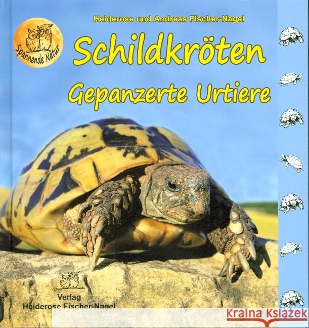 Schildkröten Fischer-Nagel, Heiderose 9783949939006 Fischer-Nagel - książka