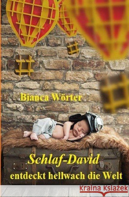 Schlaf-David entdeckt hellwach die Welt Wörter, Bianca 9783748524816 epubli - książka