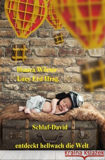 Schlaf-David entdeckt hellwach die Welt Wörter, Bianca 9783748536666 epubli - książka