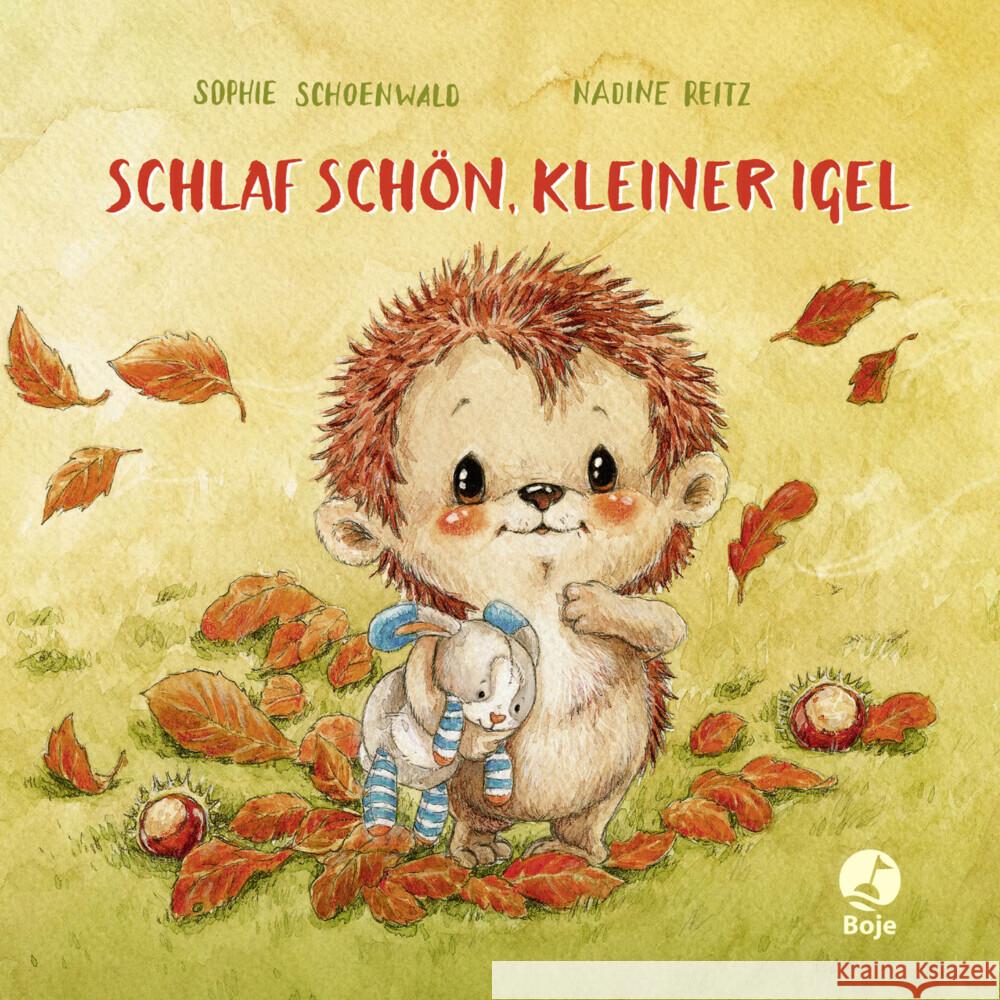 Schlaf schön, kleiner Igel (Mini-Ausgabe) Schoenwald, Sophie 9783414826176 Boje Verlag - książka