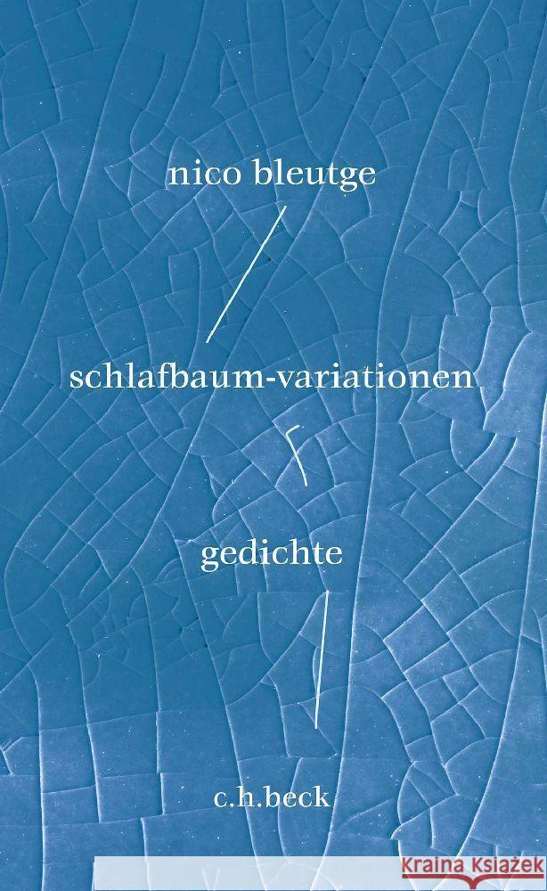 schlafbaum-variationen Bleutge, Nico 9783406798542 Beck - książka