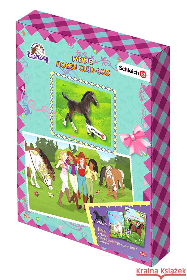 SCHLEICH® Horse Club(TM) - Meine Horse-Club-Box, m. Minifigur  9783960806080 Ameet - książka