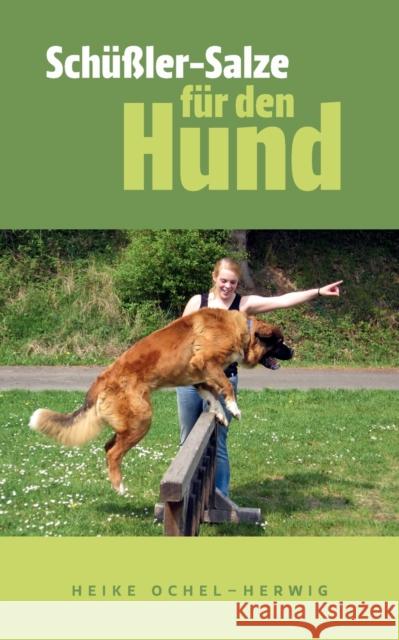 Schüßler-Salze für den Hund: so wichtig Ochel-Herwig, Heike 9783844869668 Books on Demand - książka