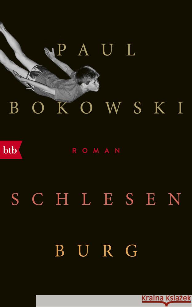 Schlesenburg Bokowski, Paul 9783442759408 btb - książka