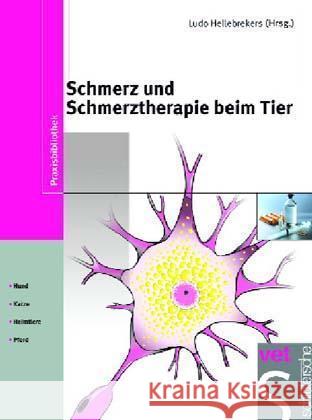 Schmerz und Schmerztherapie beim Tier : Hund, Katze, Heimtiere, Pferd  9783877065907 Schlütersche - książka