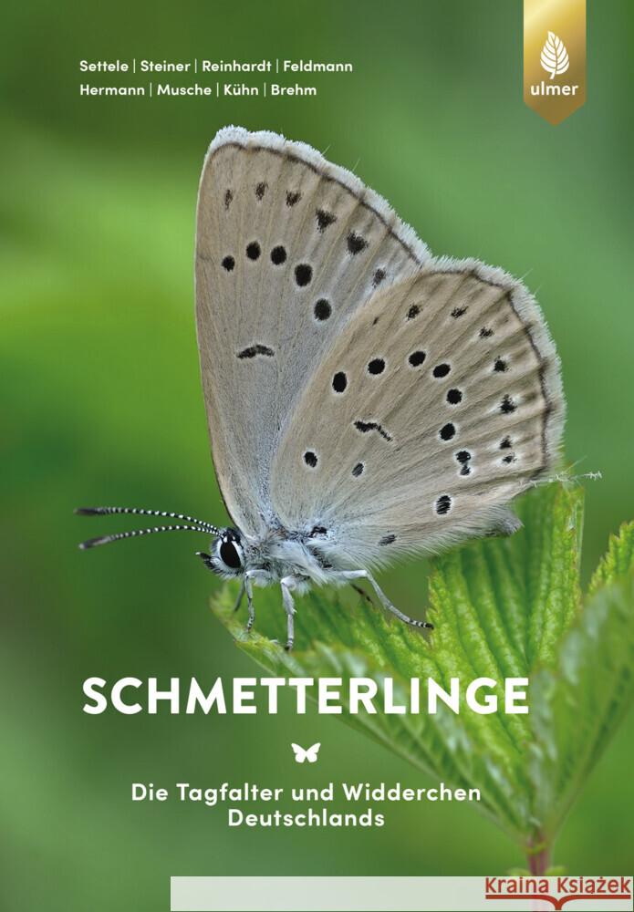 Schmetterlinge Settele, Josef, Steiner, Roland, Reinhardt, Rolf 9783818612894 Verlag Eugen Ulmer - książka