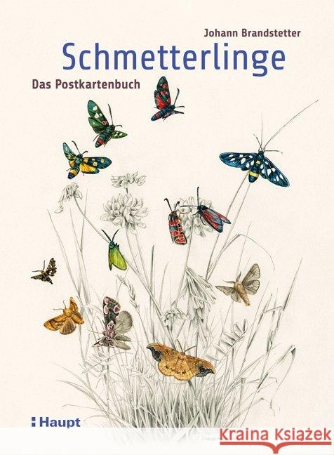 Schmetterlinge - Das Postkartenbuch Brandstetter, Johann 9783258081441 Haupt - książka