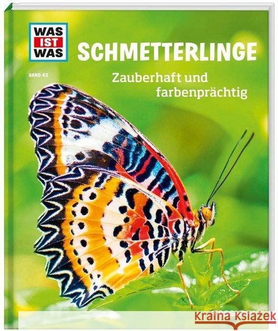 Schmetterlinge : Zauberhaft und farbenprächtig Röndigs, Nicole 9783788620776 Tessloff - książka