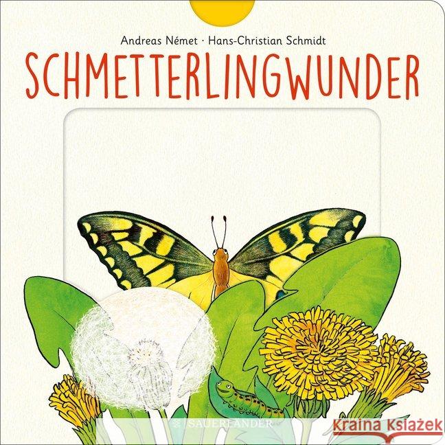 Schmetterlingwunder Német, Andreas; Schmidt, Hans-Christian 9783737356954 FISCHER Sauerländer - książka