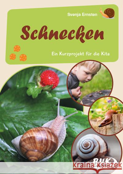 Schnecken  9783965201460 BVK Buch Verlag Kempen - książka