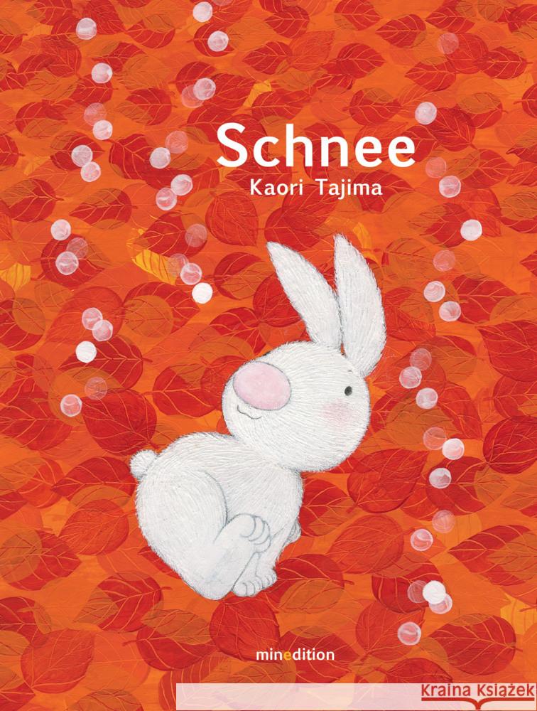 Schnee Tajima, Kaori 9783039340835 Minedition - książka