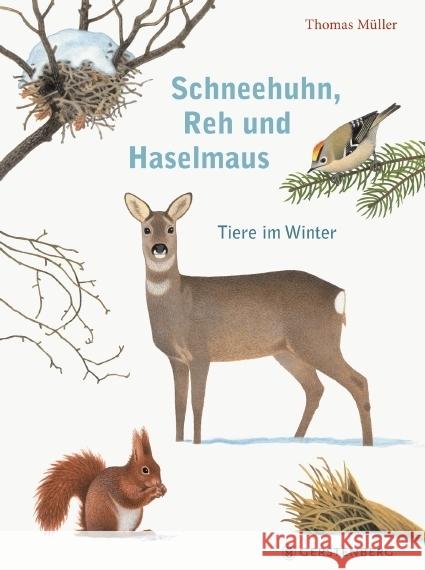 Schneehuhn, Reh und Haselmaus : Tiere im Winter Müller, Thomas 9783836959353 Gerstenberg Verlag - książka