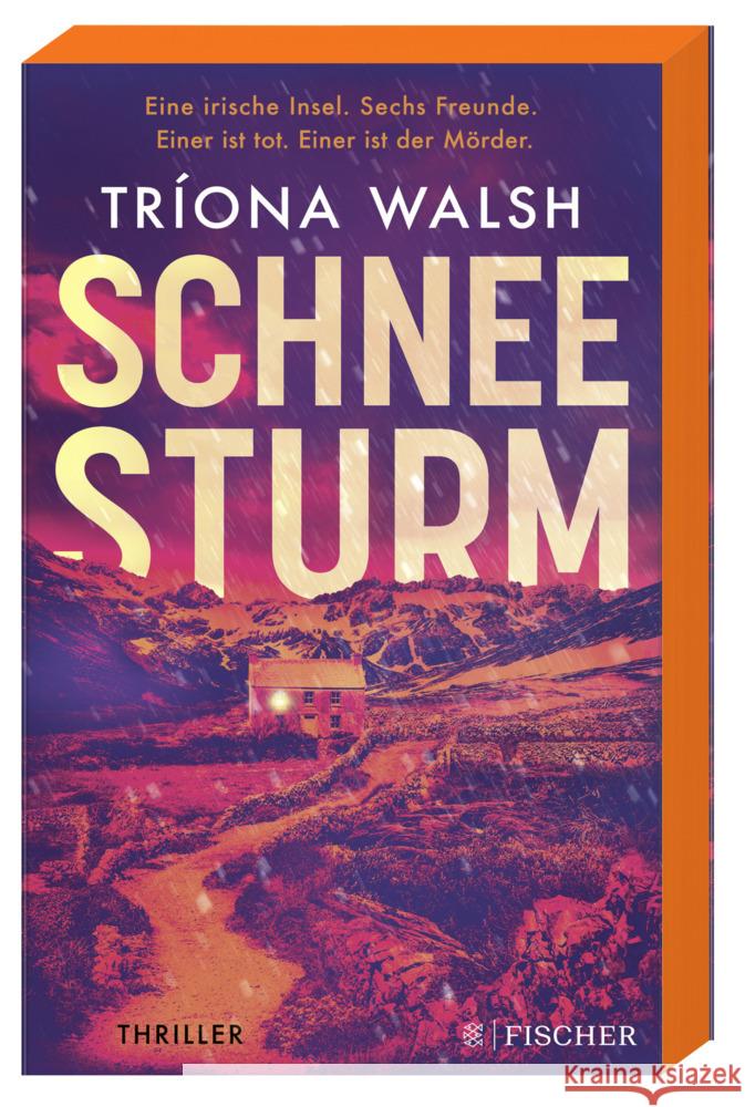 Schneesturm Walsh, Tríona 9783596708994 FISCHER Taschenbuch - książka