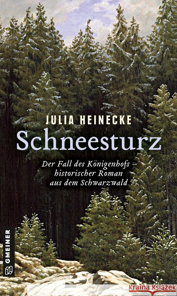 Schneesturz - Der Fall des Königenhofs Heinecke, Julia 9783839228555 Gmeiner-Verlag - książka