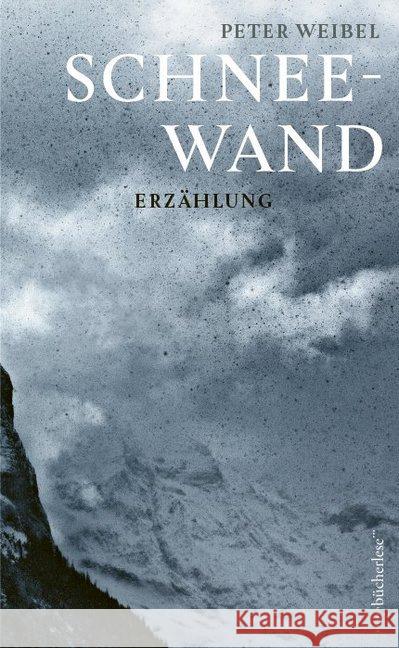 Schneewand : Erzählung Weibel, Peter 9783906907246 edition bücherlese - książka