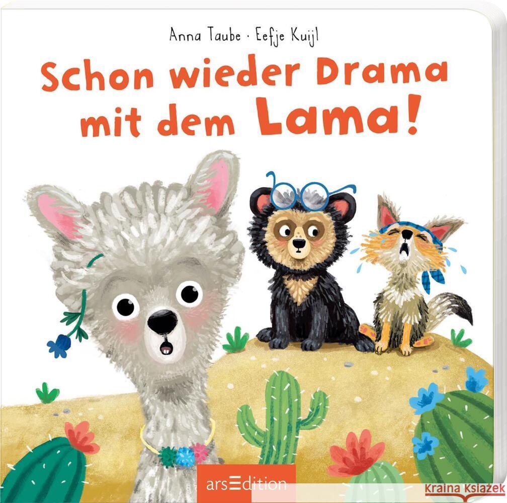 Schon wieder Drama mit dem Lama! Taube, Anna 9783845858401 ars edition - książka